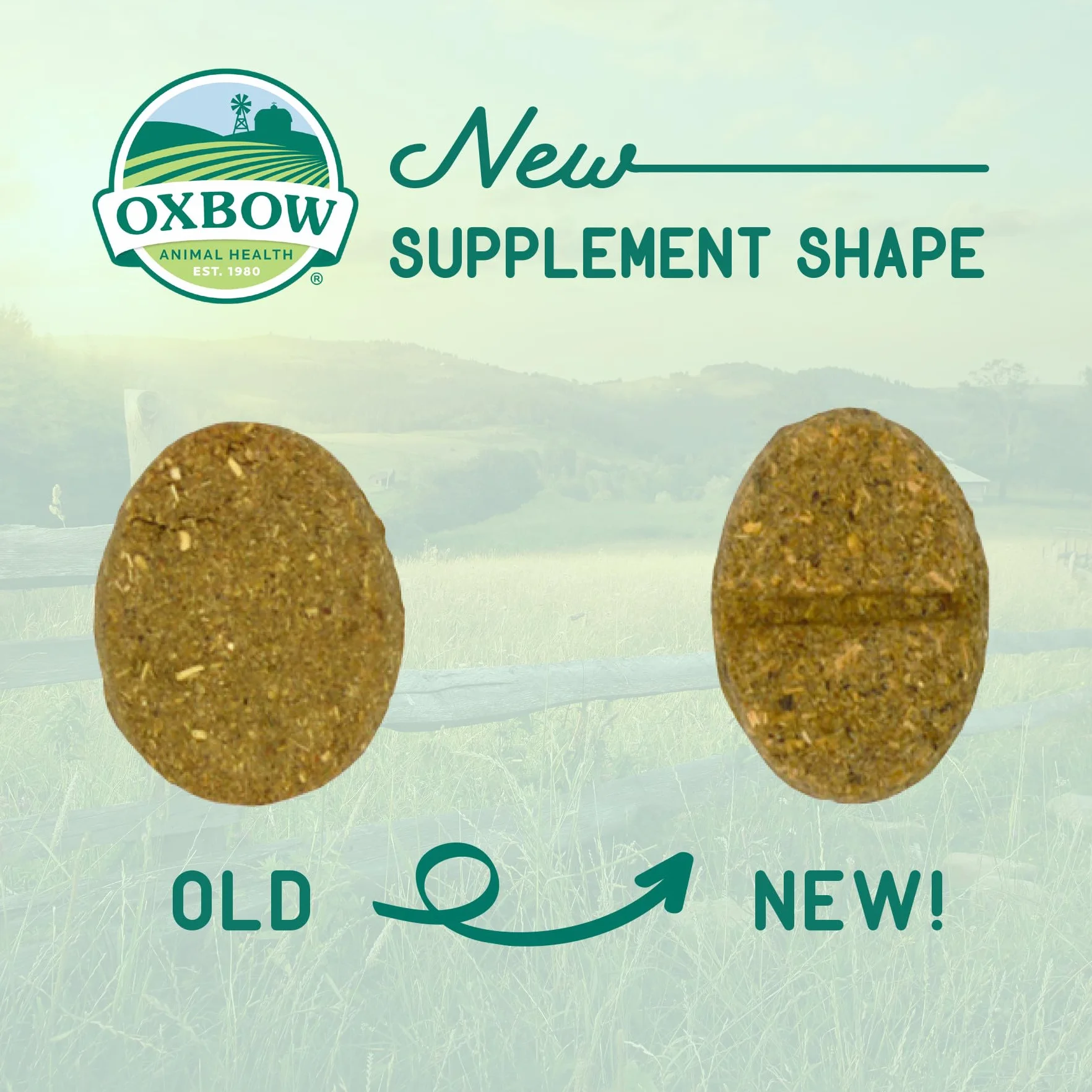 Oxbow Digestive Support 120 g - Integratore alimentare per l'apparato digerente di roditori e iguana