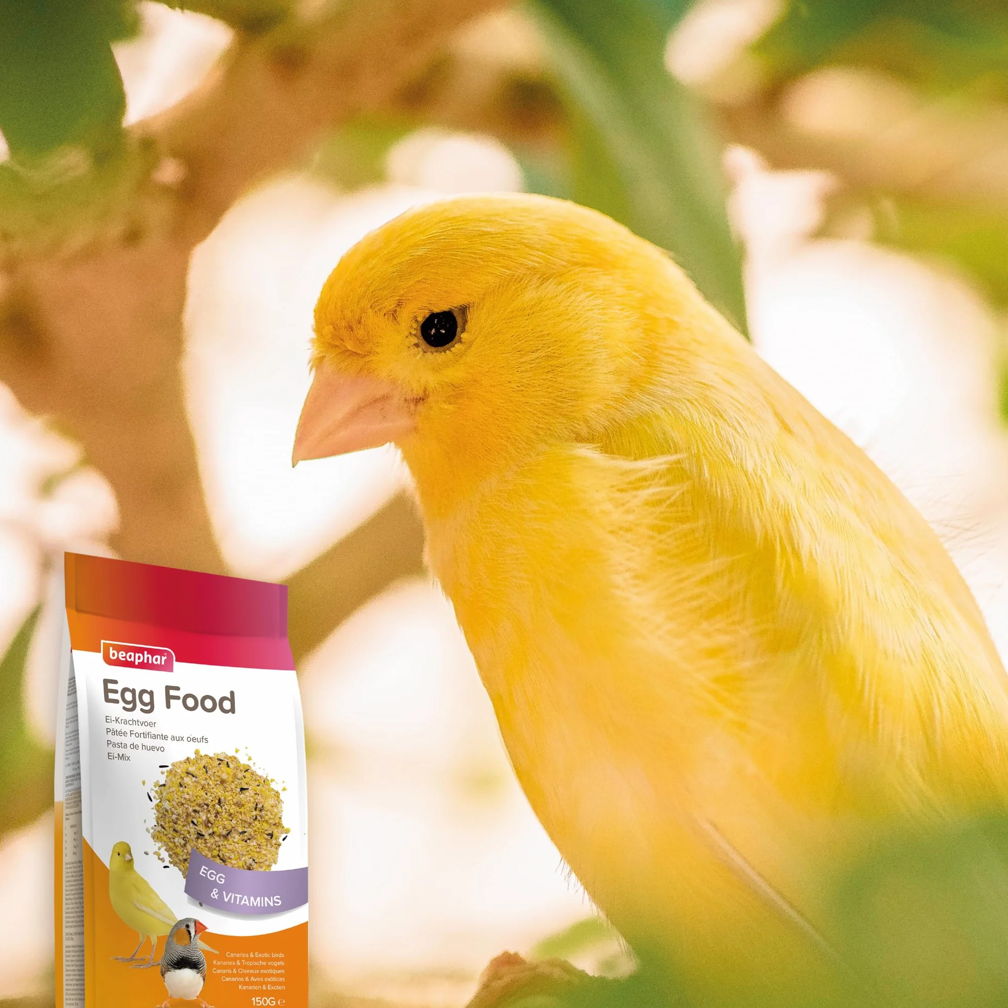 Beaphar Pasta all'uovo per Canarini e Uccelli Esotici - 150g