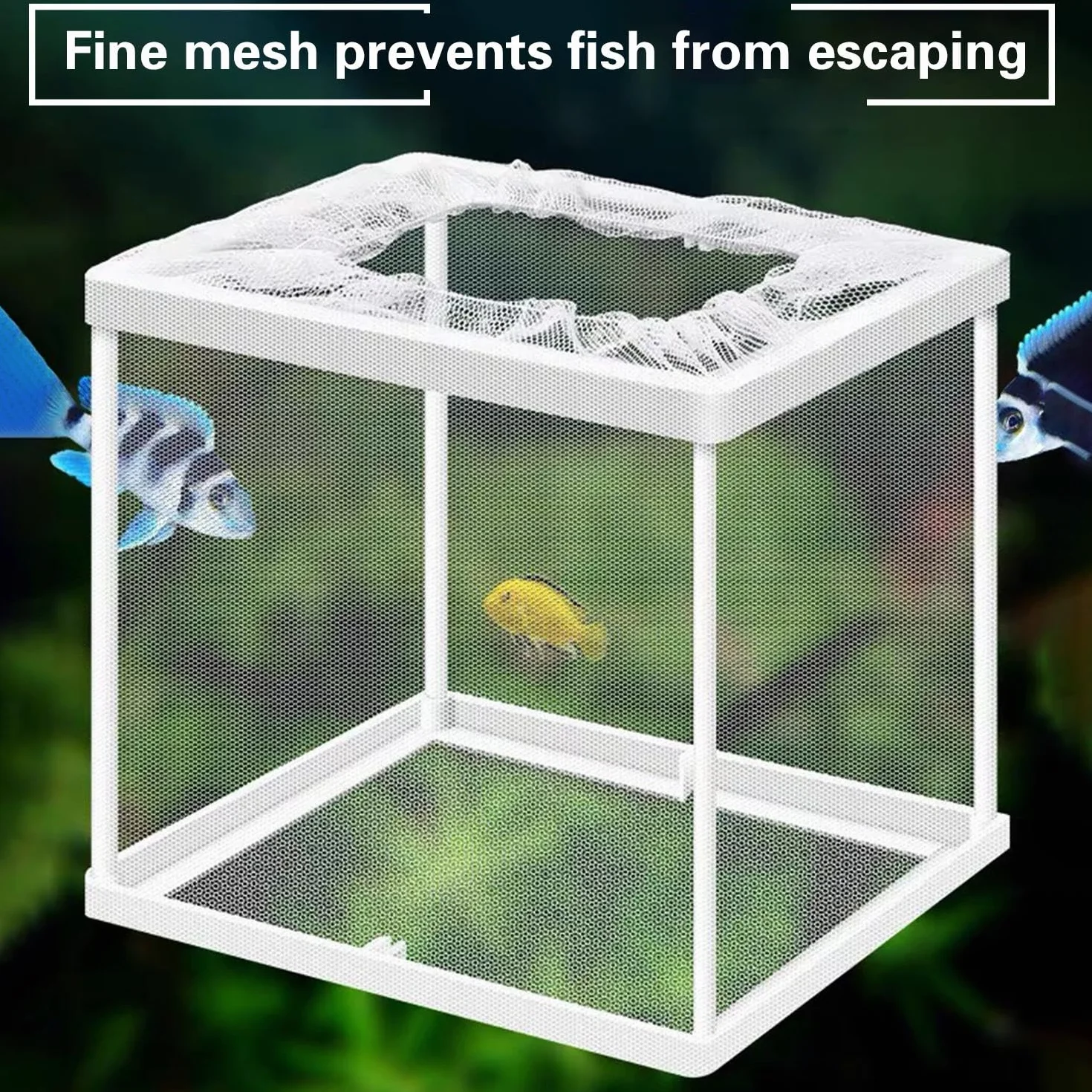 Rete Isolante per Serbatoi di Pesce e Scatola di Allevamento con Ventosa - Set da 2 per Acquario e Incubazione