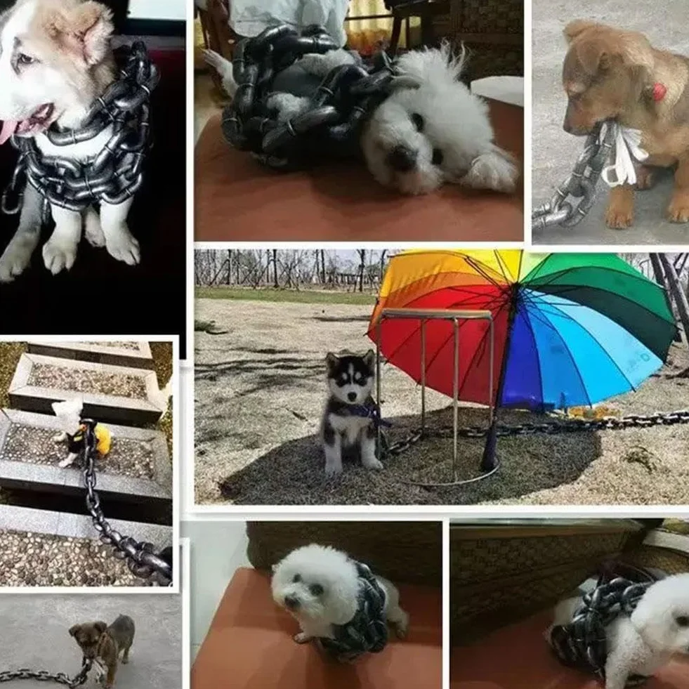 Falsa catena grande per cani, interessante catena realizzato in materiale plastico che imita la catena di ferro, solo per cani di piccola taglia, gatti e cuccioli, chihuahua, barboncino toy,