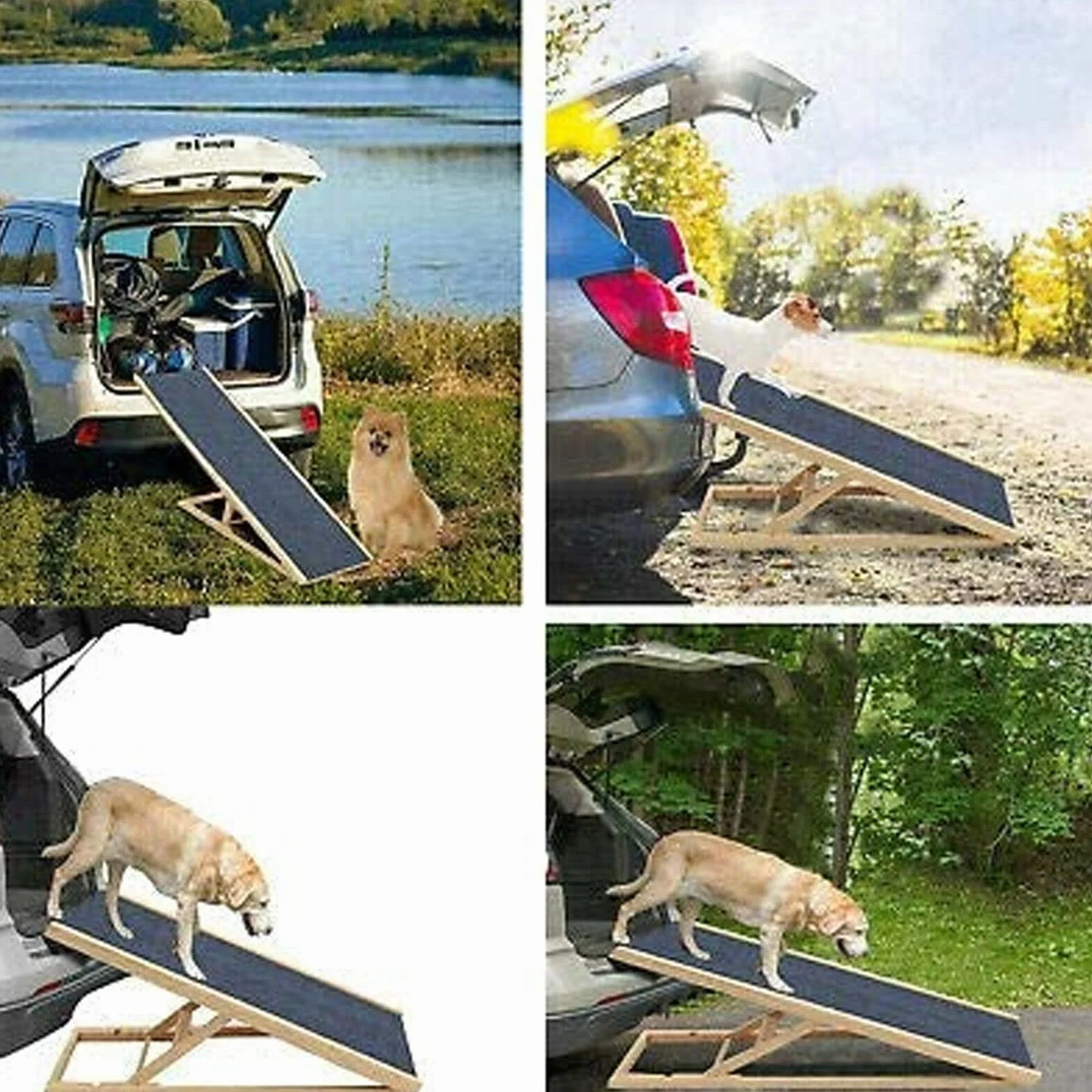 Rampa per Cane Antiscivolo Trasportabile per Divano Letto Sedia Auto Piega Sotto Divano
