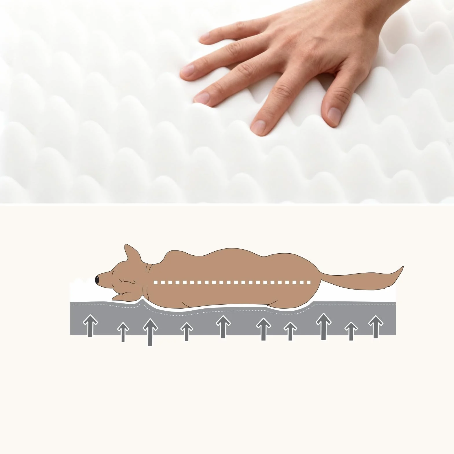 WAVVE Cuccia Cane Ortopedica 112x81x7.6 cm XL Letto Sfoderabile Lavabile Impermeabile Grigio
