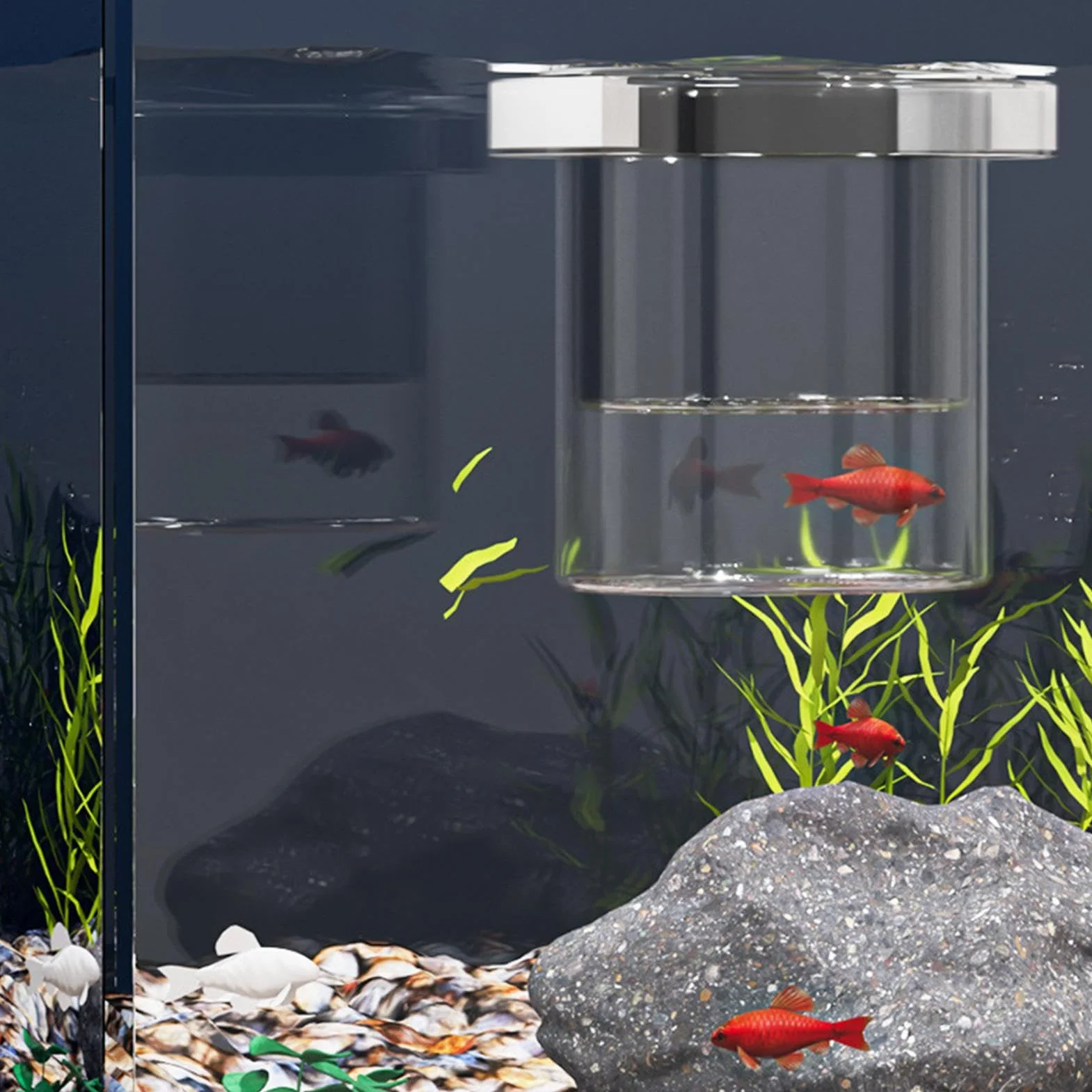 Scatola per allevamento di pesci per acquario, separatore di pesci per acquario, divisore sicuro per vivaio di acclimatazione Guppy gamberetti Betta Fry Hatchery
