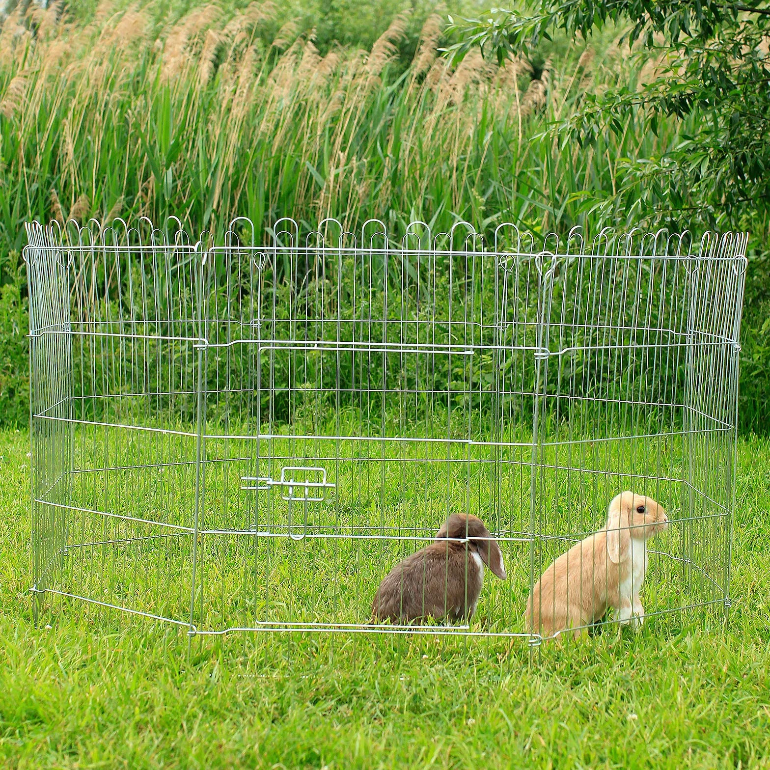 lionto Recinto per Cani Gatti Cuccioli Gabbia per Animali Piccola Taglia 59x78 cm