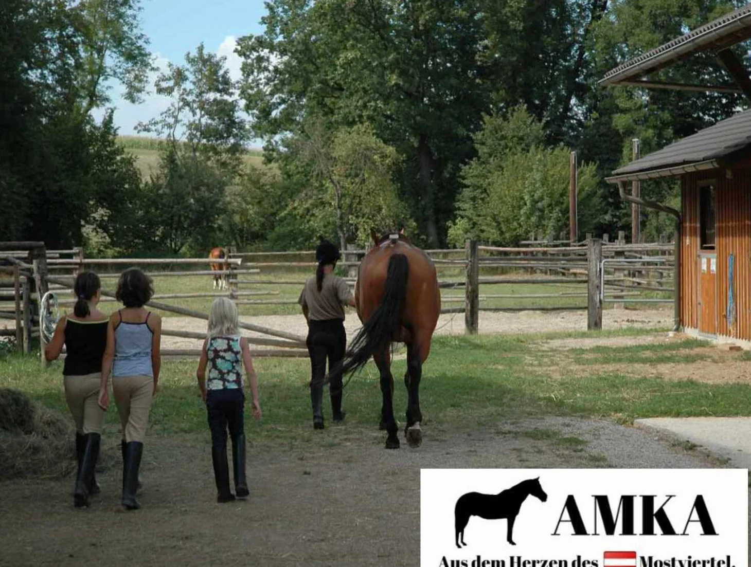 Amesbichler AMKA - Sella per pony Shetty LittleBilly, set completo anche per cavalli in legno, colore rosa