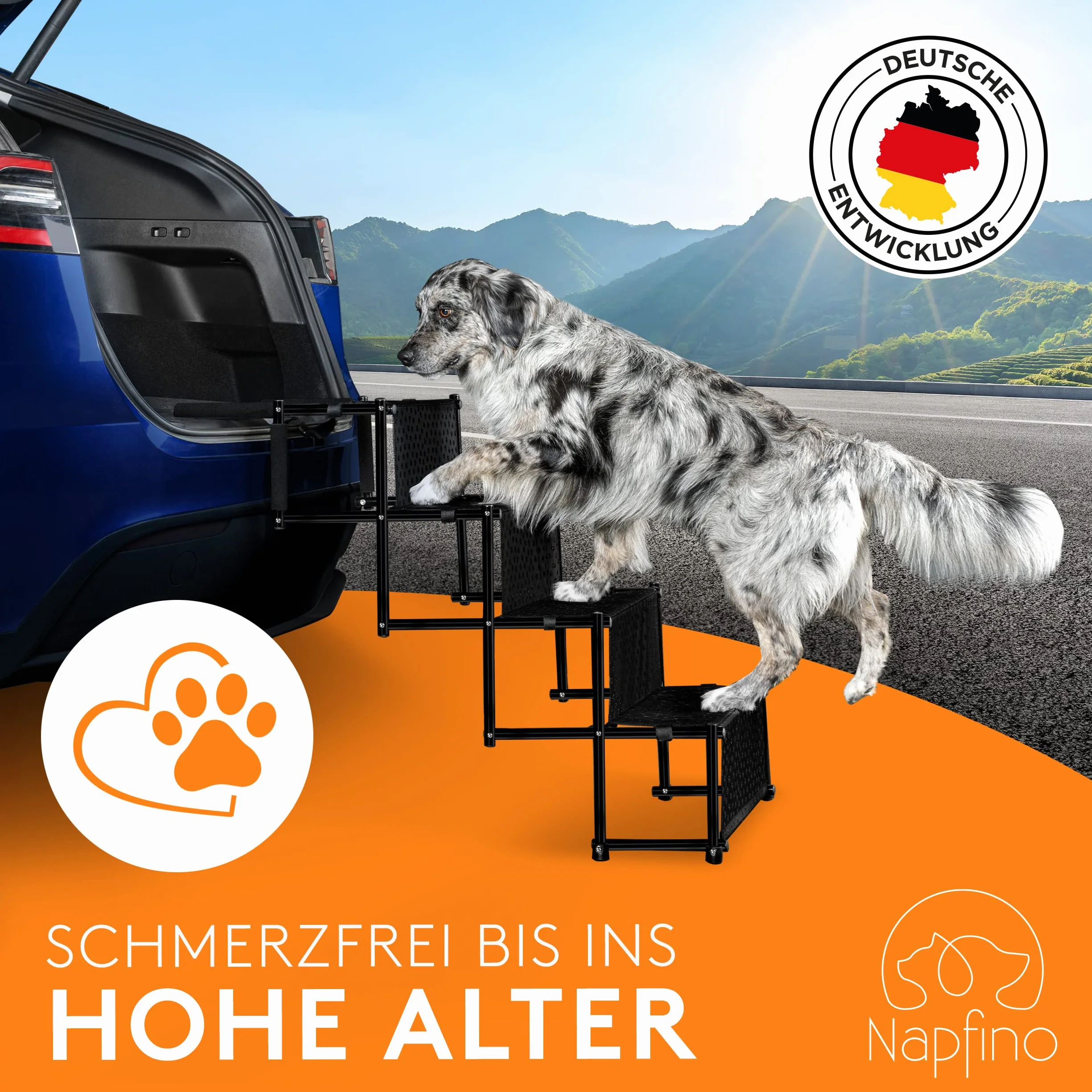 Rampa per cani fino a 60 kg, adatta per tutte le auto, con borsa per il trasporto