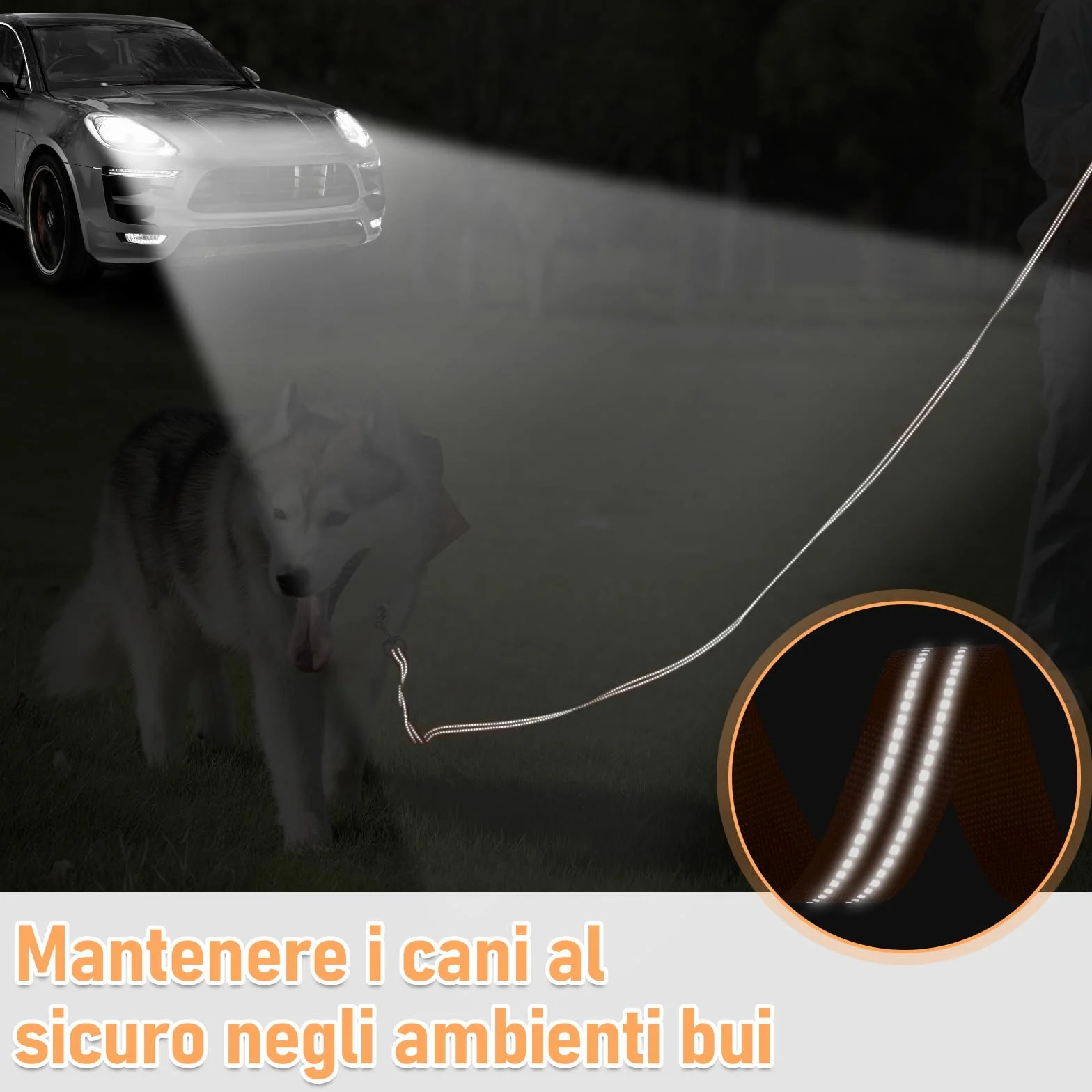 X XBEN Guinzaglio Addestramento per Cani, 1,5M 3M 5M 10M 15M 20M 25M 30M 50M Lunghina Leggera per Cane, Con Impugnatura Comfort e fibbia a D, per Tutti i Cani, per Richiamo, Parco e Campeggio