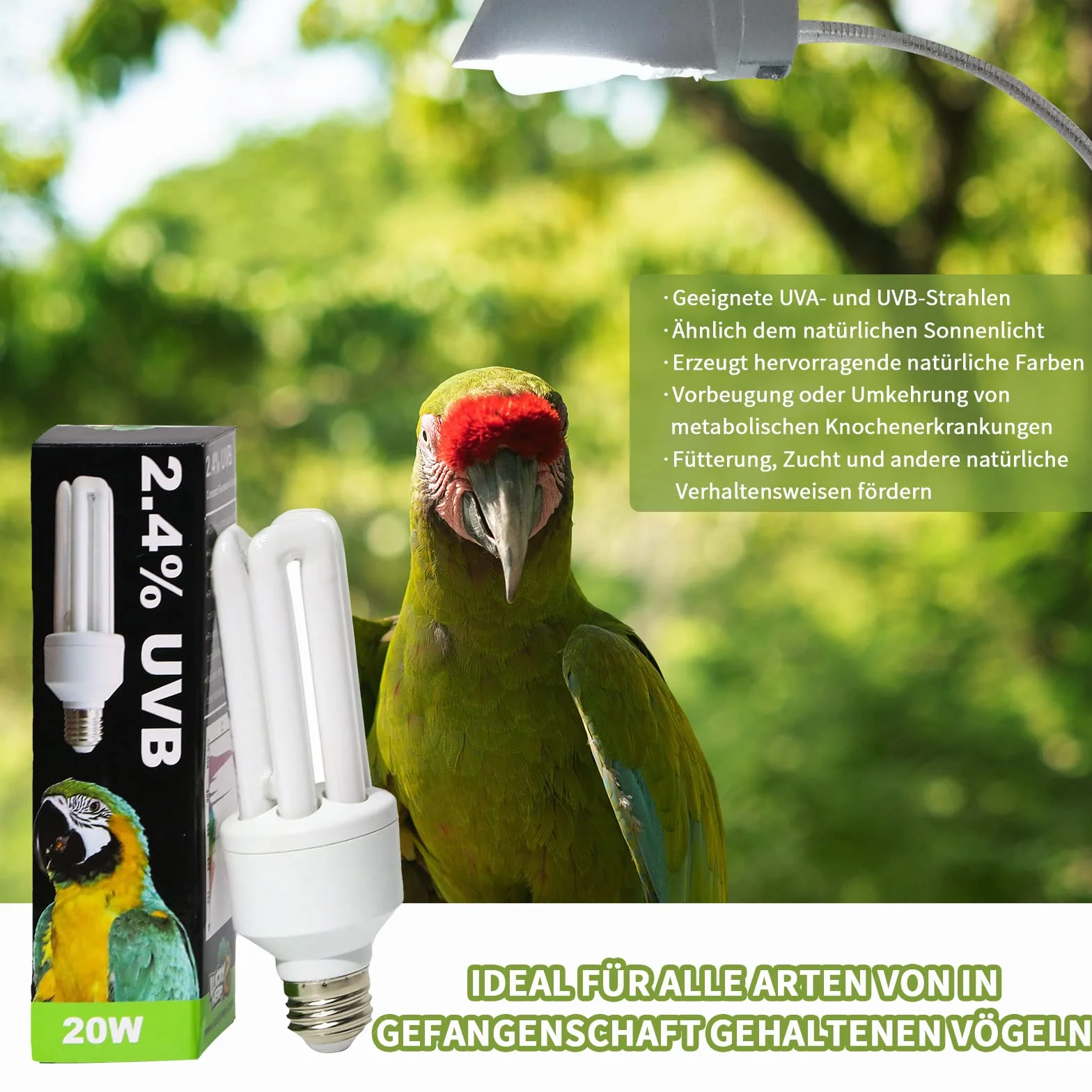 Lampadina UVA UVB per uccelli 2.4 UVB 20W Lampada fluorescente compatta