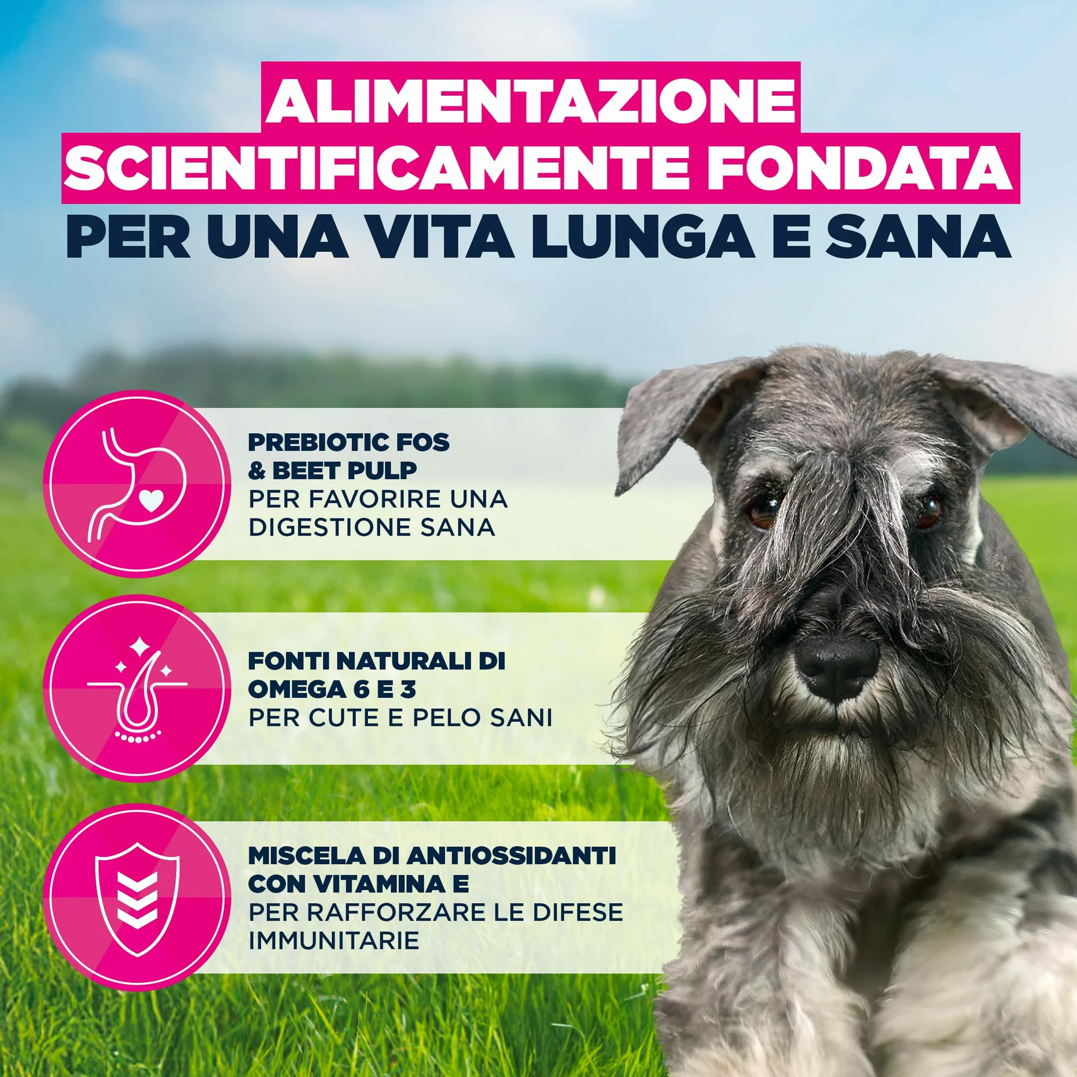 EUKANUBA Cibo secco per Cani con pollo fresco per razze di taglia piccola - Alimento secco premium per Cani adulti, 3 kg
