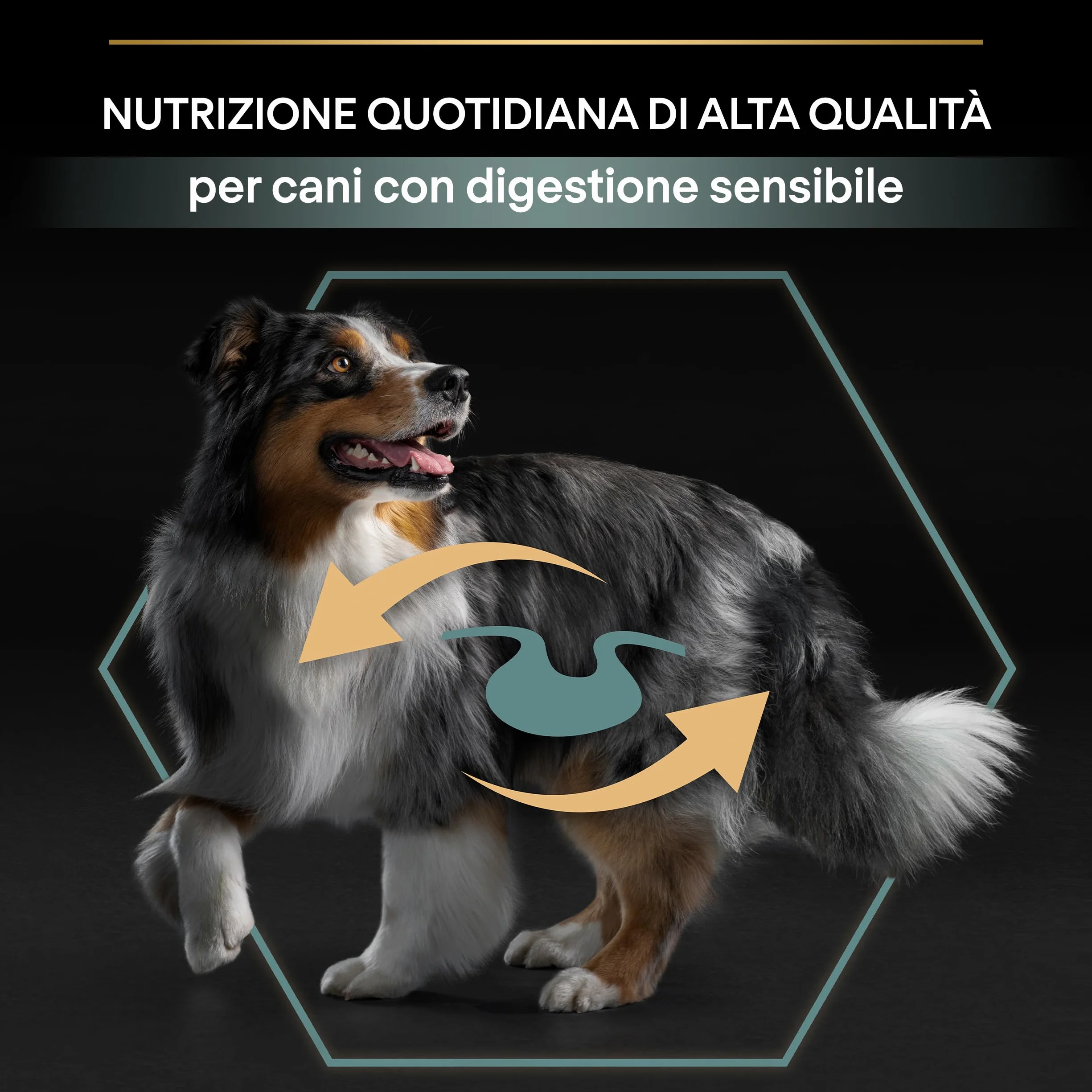 Purina Pro Plan Medium Adult Optidigest Cane Crocchette, 1 Sacco da 14 kg