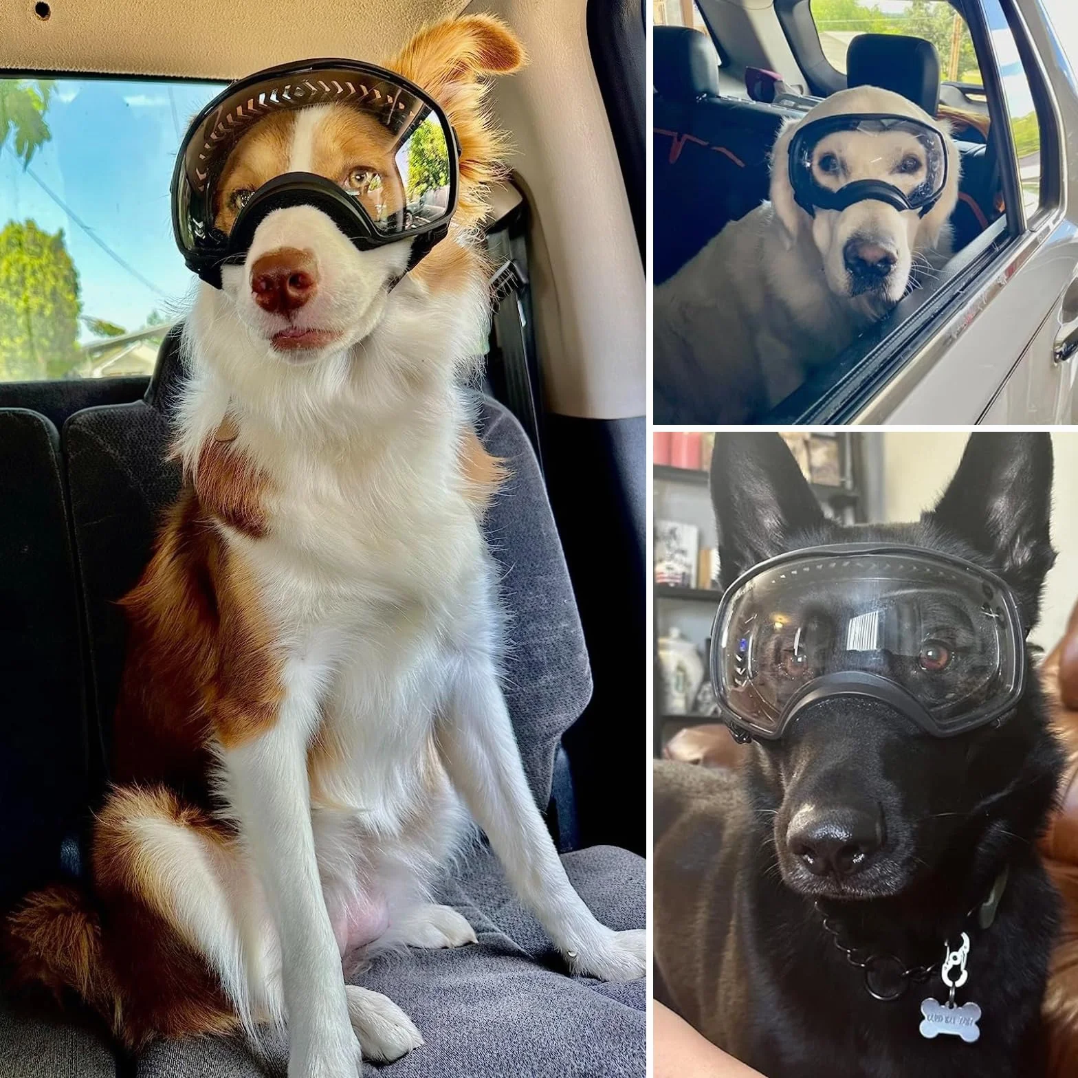 Occhiali da sole per cani, protezione UV, trasparenti, antivento, con cinghie elastiche per razze medio-grandi, montatura nera + lenti trasparenti