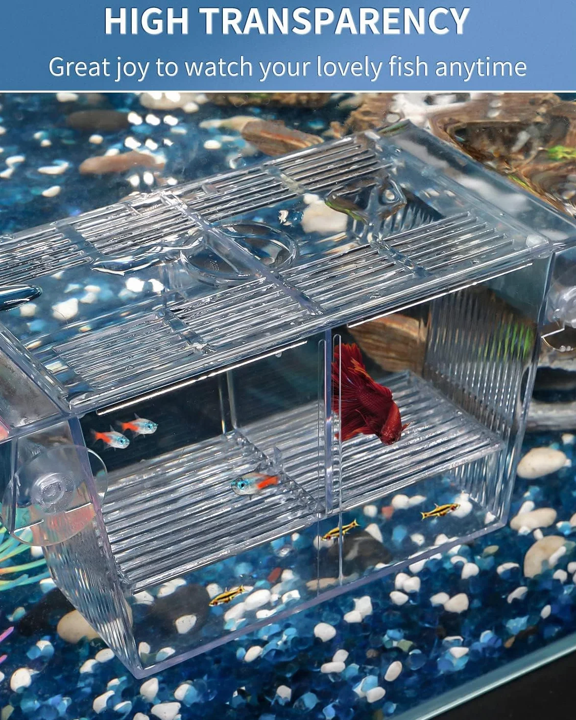 Pawfly Acquario Box per Allevamento Pesci Incubatrice Acrilica Serbatoio con Ventose Medio Box di Isolamento per Avannotti Gamberetti Betta e Guppy