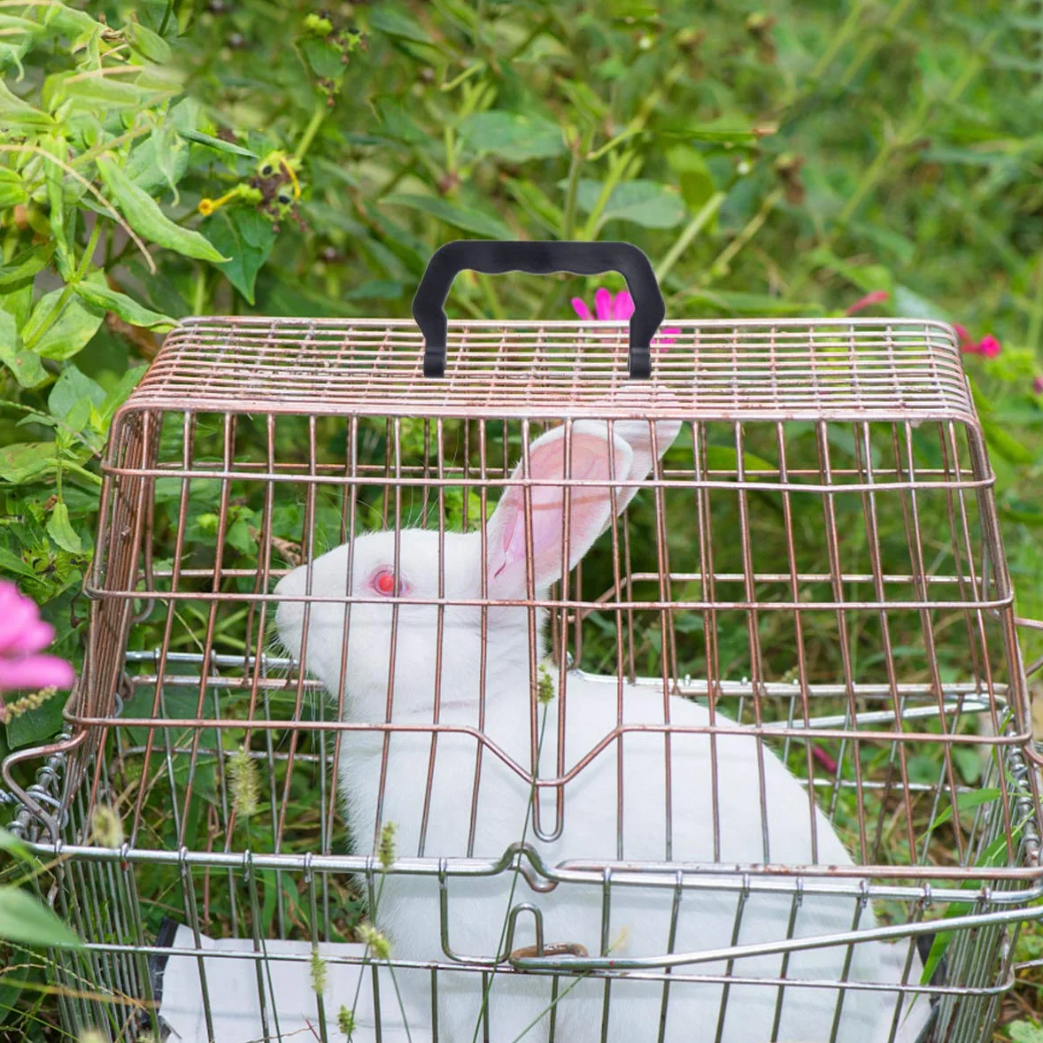 PATKAW 10 Pezzi Maniglia Gabbia Sostituzione Vassoi Canile per Animali Domestici Plastica