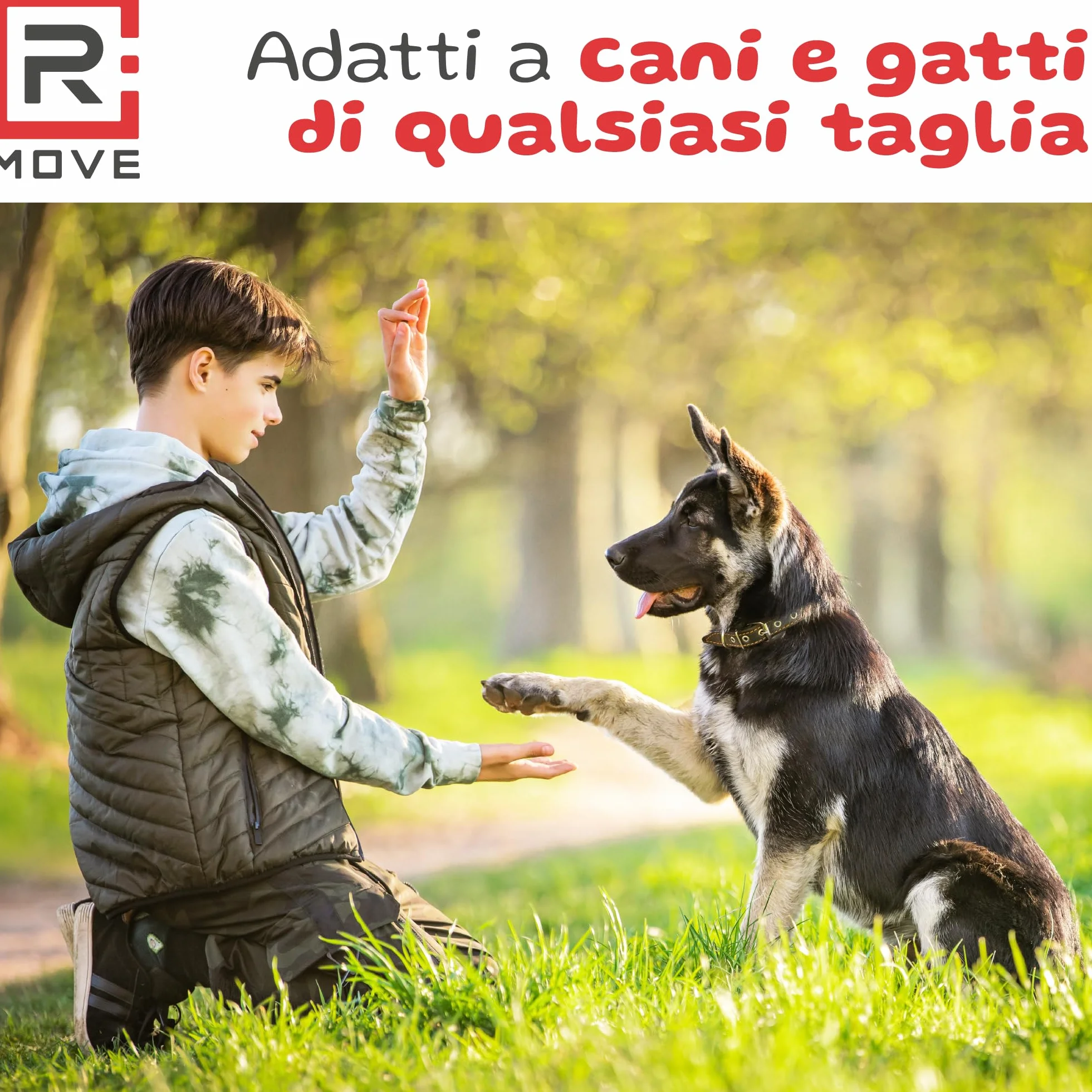 R MOVE Sacchetti Cane Cacca 810 pz (54 Rotoli) - Sacchettini Igienici per Cani, bustine per cani, dog poop bags resistenti antiforatura, 30x23 cm 2,5 Litri compatibili con tutti i porta rotoli