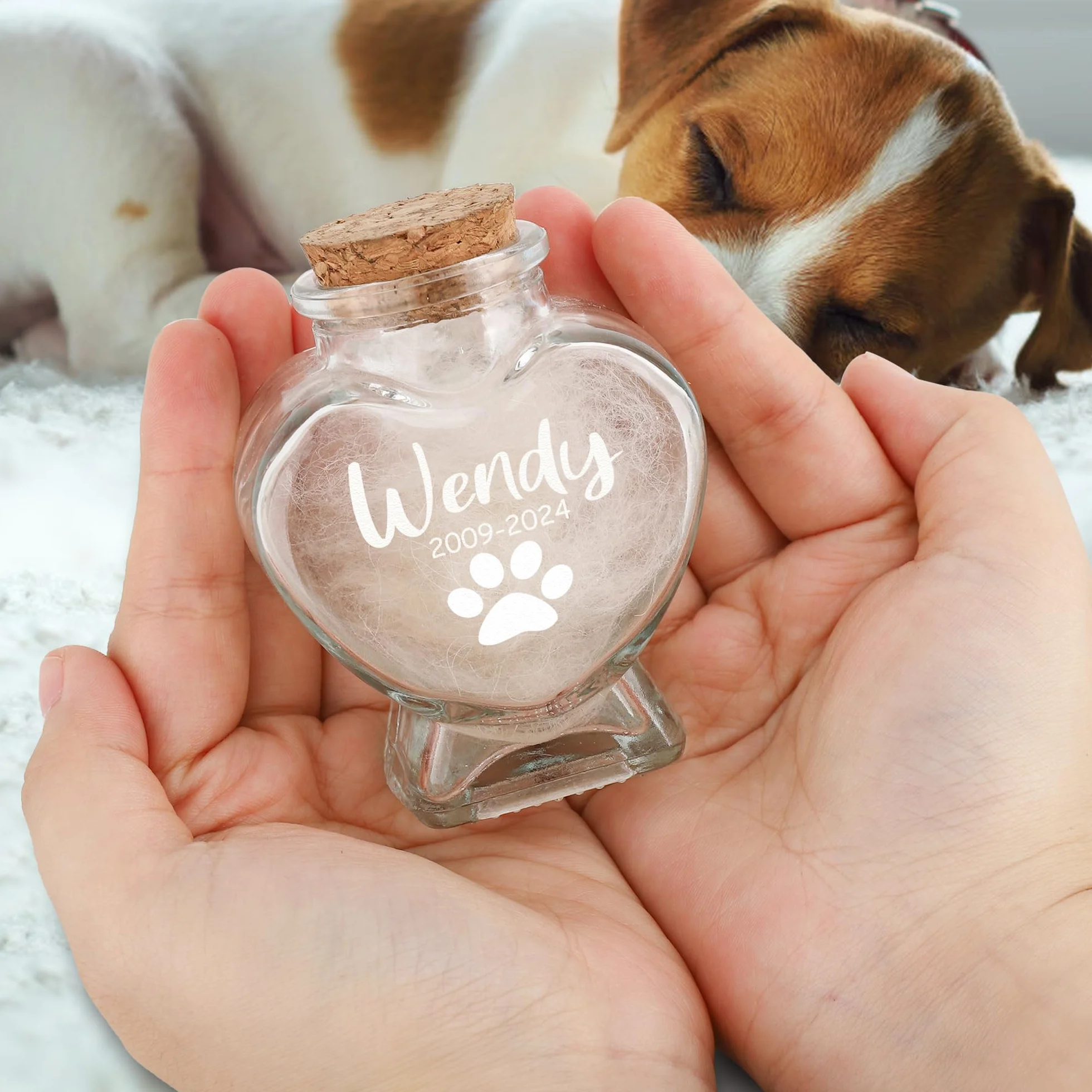 Barattolo commemorativo personalizzato per peli di animali domestici ricordo per cani e gatti
