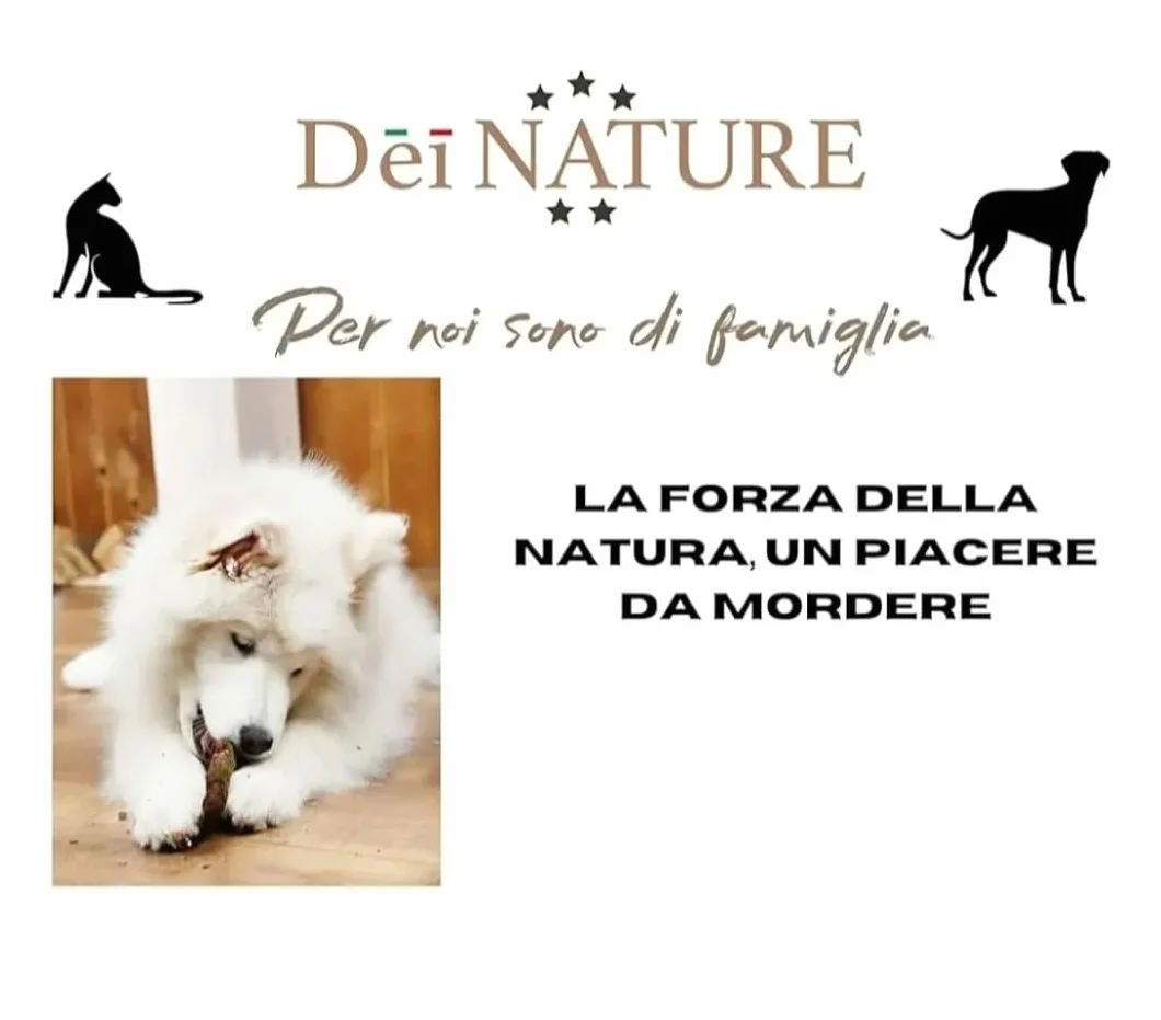 Legno di Ulivo per Cani, Masticativo Naturale, 2 UNITA' Taglia S,Bastoncino Antitartaro per Pulizia Denti