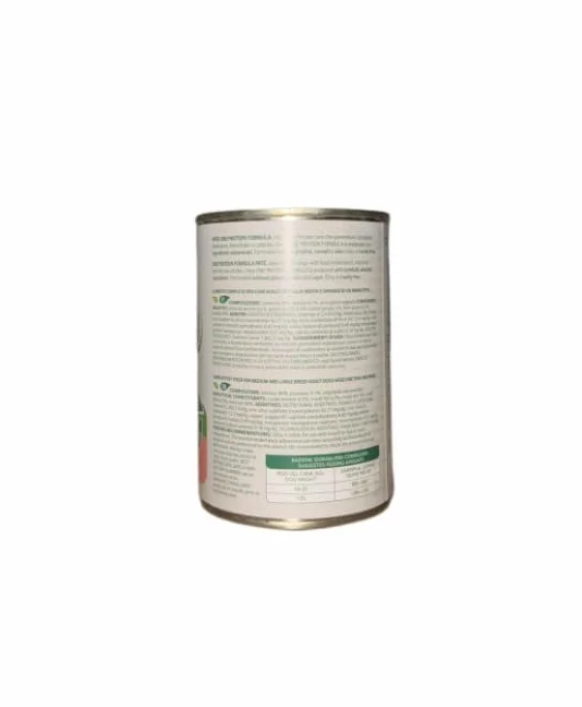 Oasy cane patè Grainfree Monoproteico gusto SALMONE | 6 lattine da 400 grammi l'una.