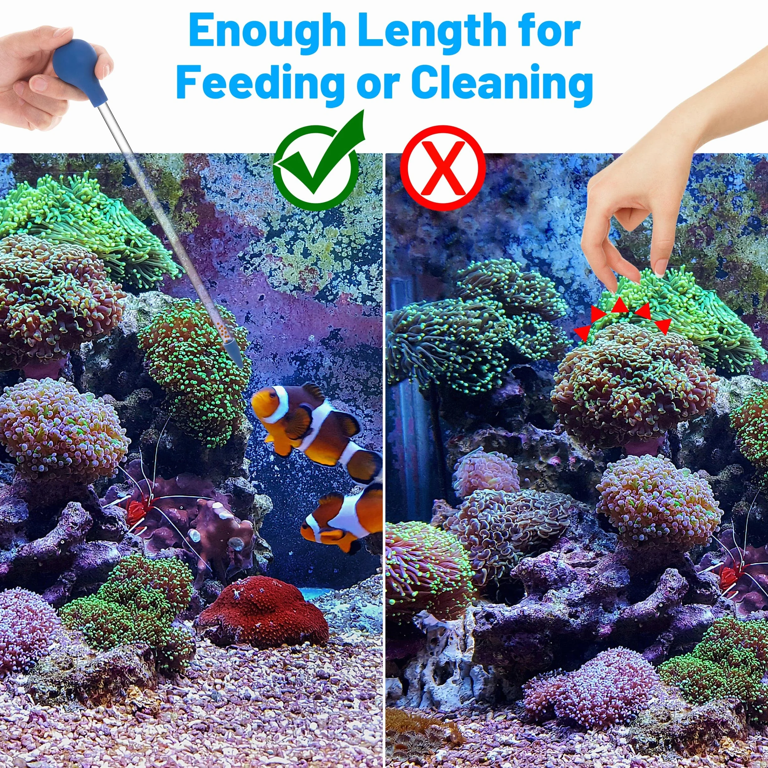 Mangiatoia per Coralli Lungo 30 cm Tubo di Alimentazione in Acrilico per Pesci Marini Pipetta Lunga per la Maggior Parte Degli Organismi d'Acquario 2 Pezzi (Blu)